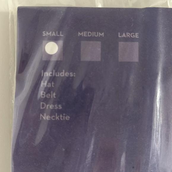 Bad Cop Women’s Halloween Costume - Size Small - Picture 4 of 5